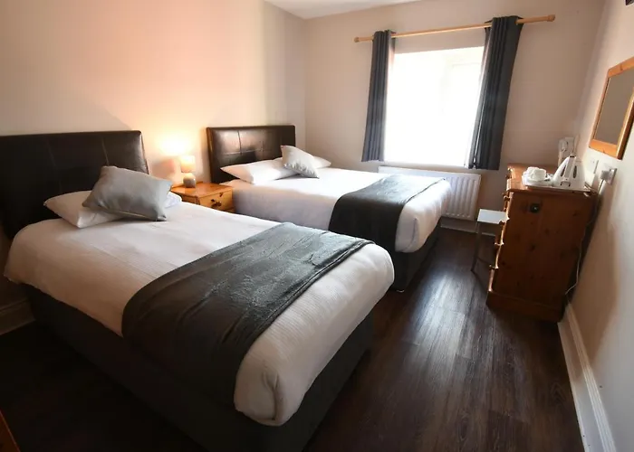 Mcsorleys And Bar 킬라니